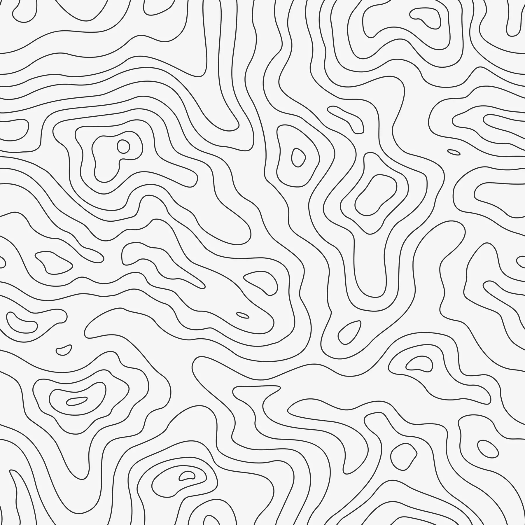 Valokuvatapetti Topografinen kartta u70650