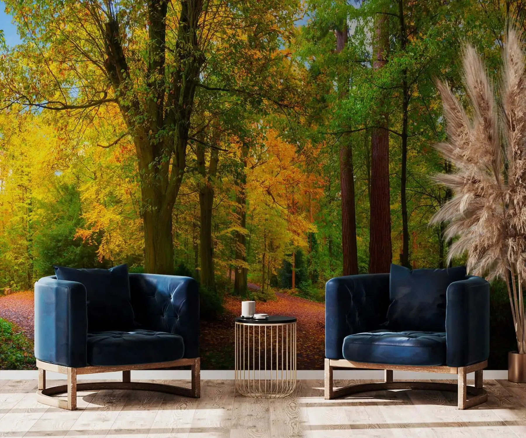 Valokuvatapetti Syksyn alku u08547