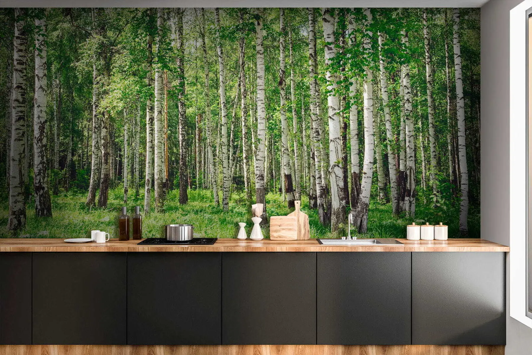 Valokuvatapetti Koivumetsä u52530