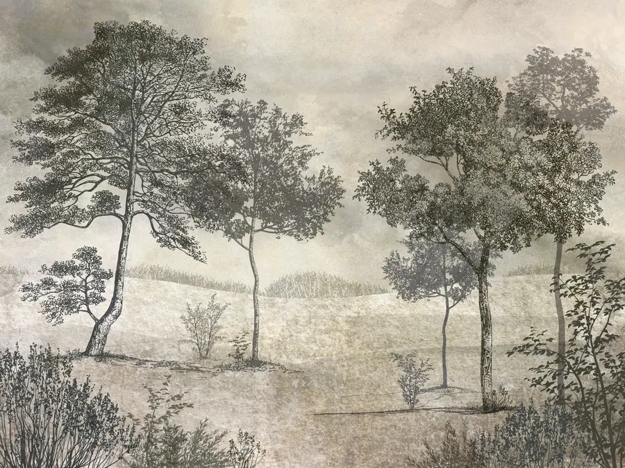 Valokuvatapetti Vintage puita u80030