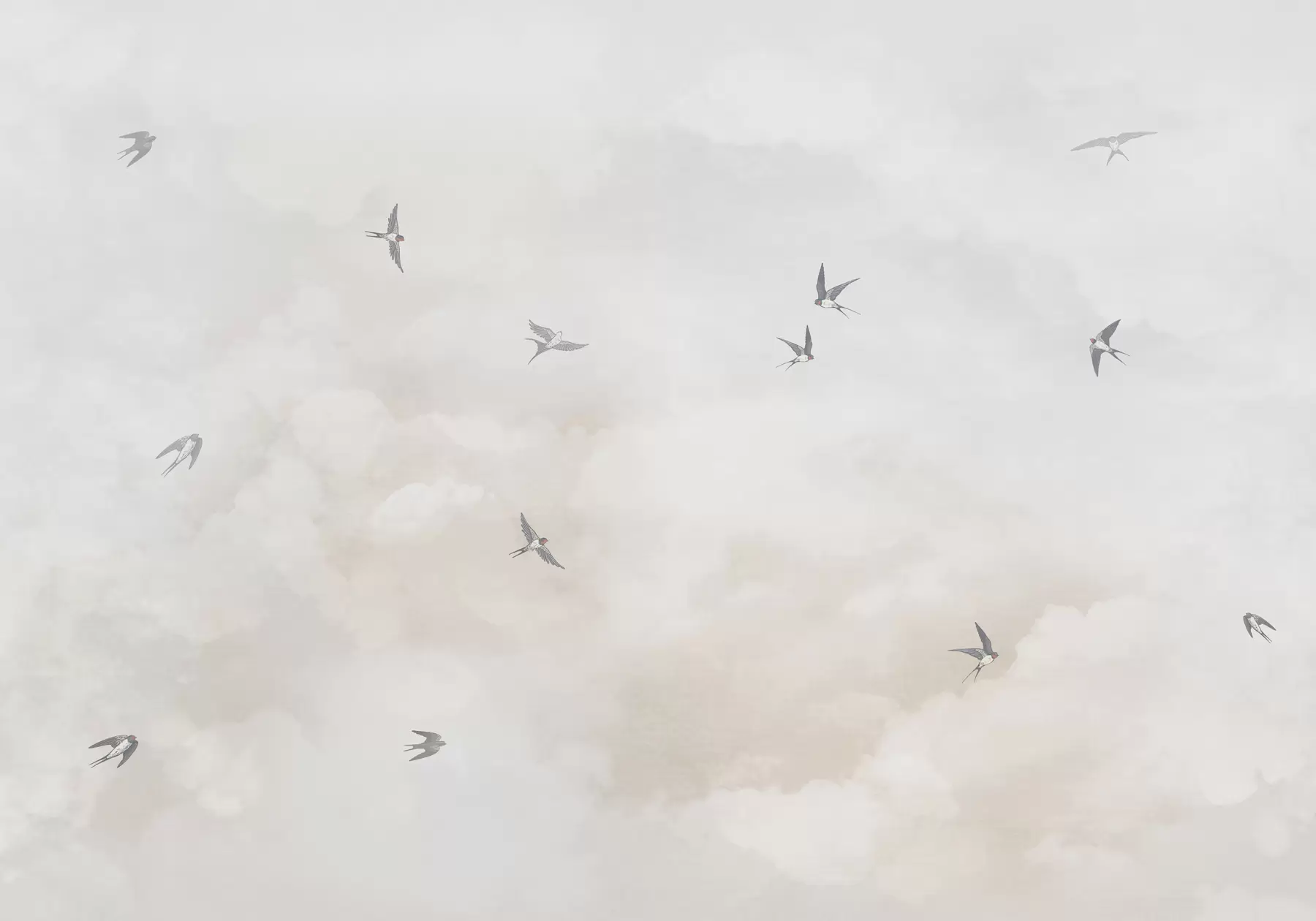 Valokuvatapetti Taivas pääskysten kanssa w00526v2