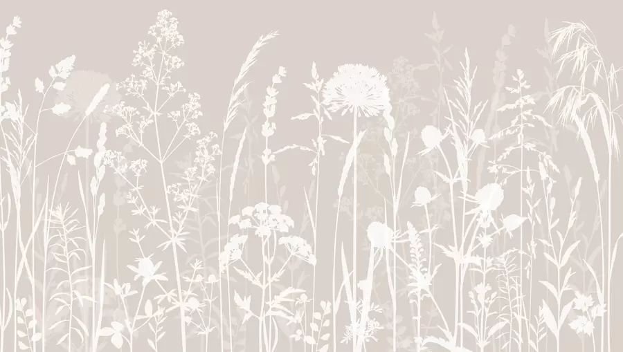 Valokuvatapetti Hellävaraista peltokasvien ja kukkien minimalismia w01270