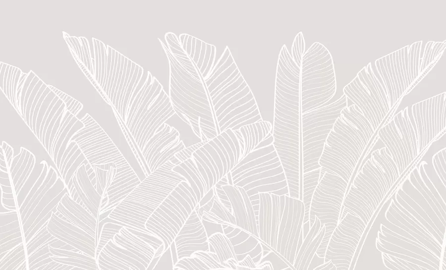 Valokuvatapetti Trooppinen banaani jättää minimalismin uuden trendin w08210