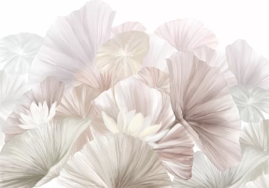 Valokuvatapetti Herkkä vaaleanpunainen lootuksen lehdet valkoisia kukkia pehmeä, höyhenpehmeä terälehdet järjestetty luonnon taiteen koostumus w08265v1