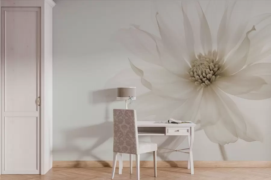 Valokuvatapetti Herkkä beige kukka vaalealla taustalla w02077v1