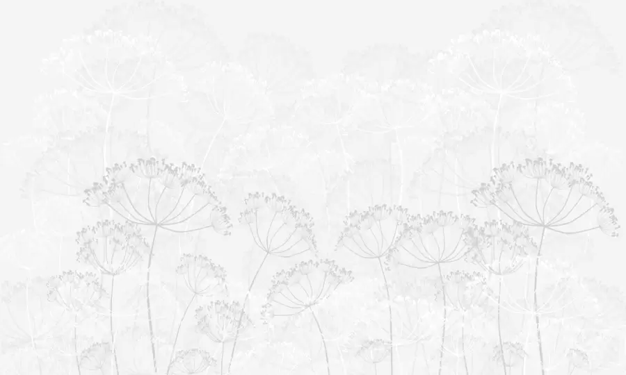 Valokuvatapetti Hauras kasvit minimalismi harmaa väri w02105v2