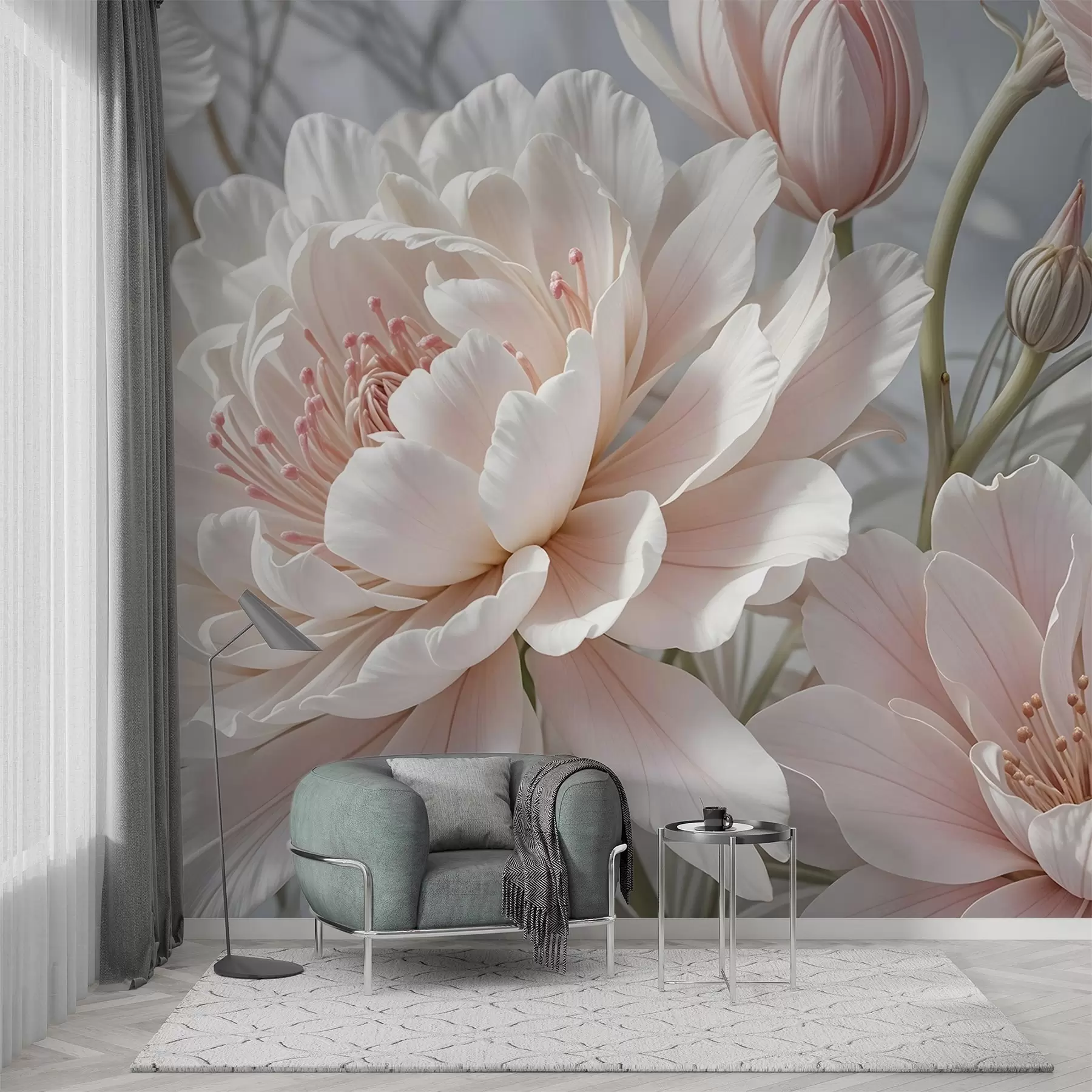 Valokuvatapetti Suuret, herkät valkoiset ja vaaleanpunaiset pionikukat, joissa on pehmeät, pörröiset terälehdet sumeaa harmaata taustaa vasten w08427