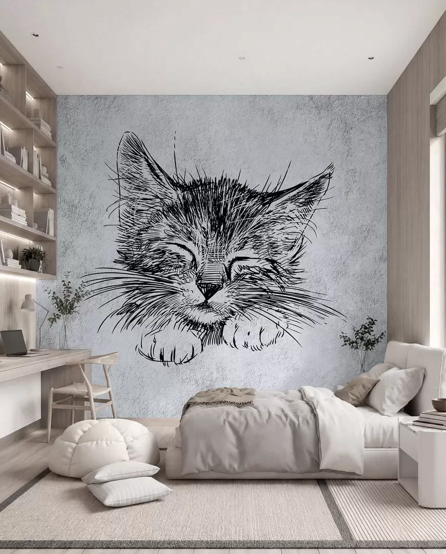 Valokuvatapetti Kissa, felidae lihansyöjistä u43536