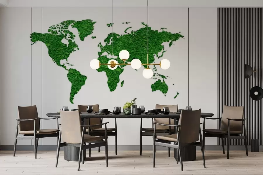 Valokuvatapetti Maailmankartta sammaleella, luonto, vihreä väripaletti  w02657