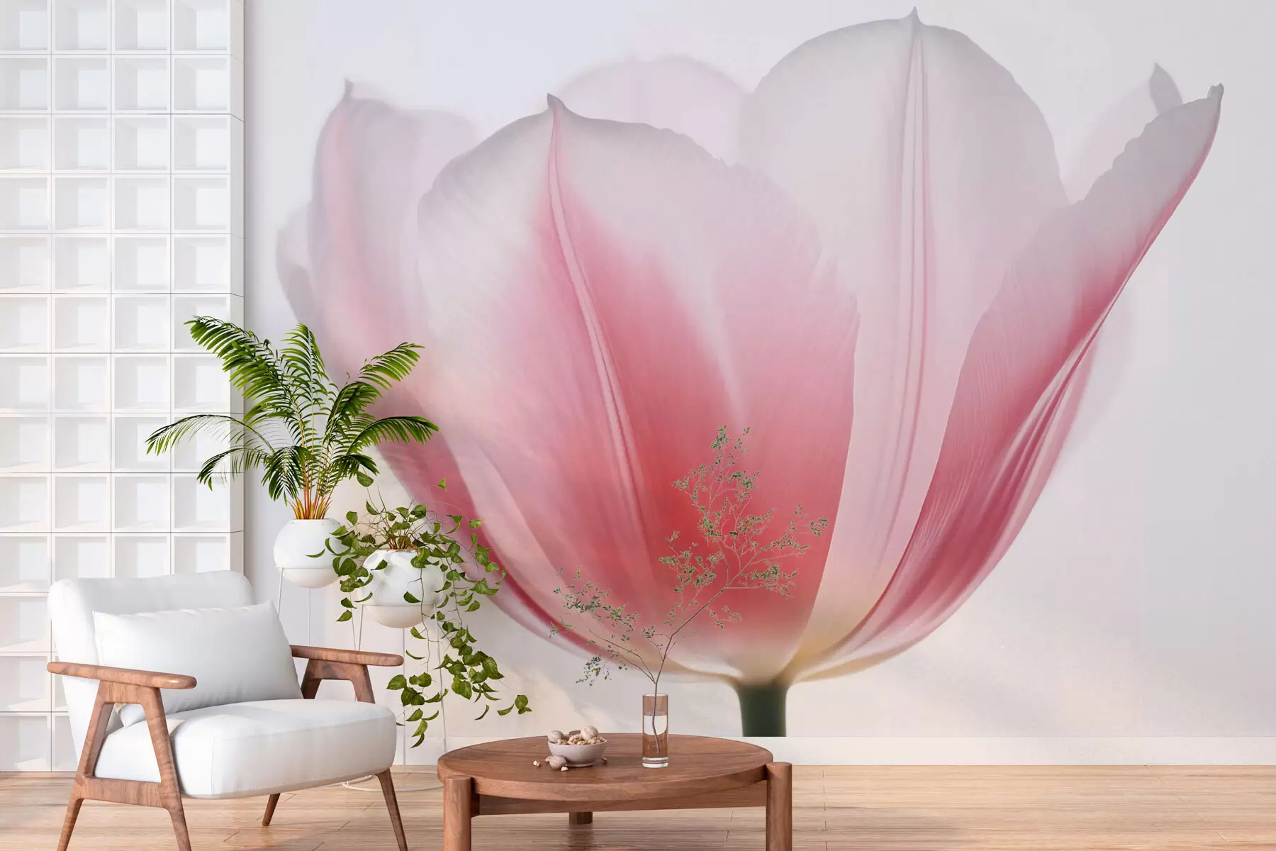 Valokuvatapetti Tulppaani w03224