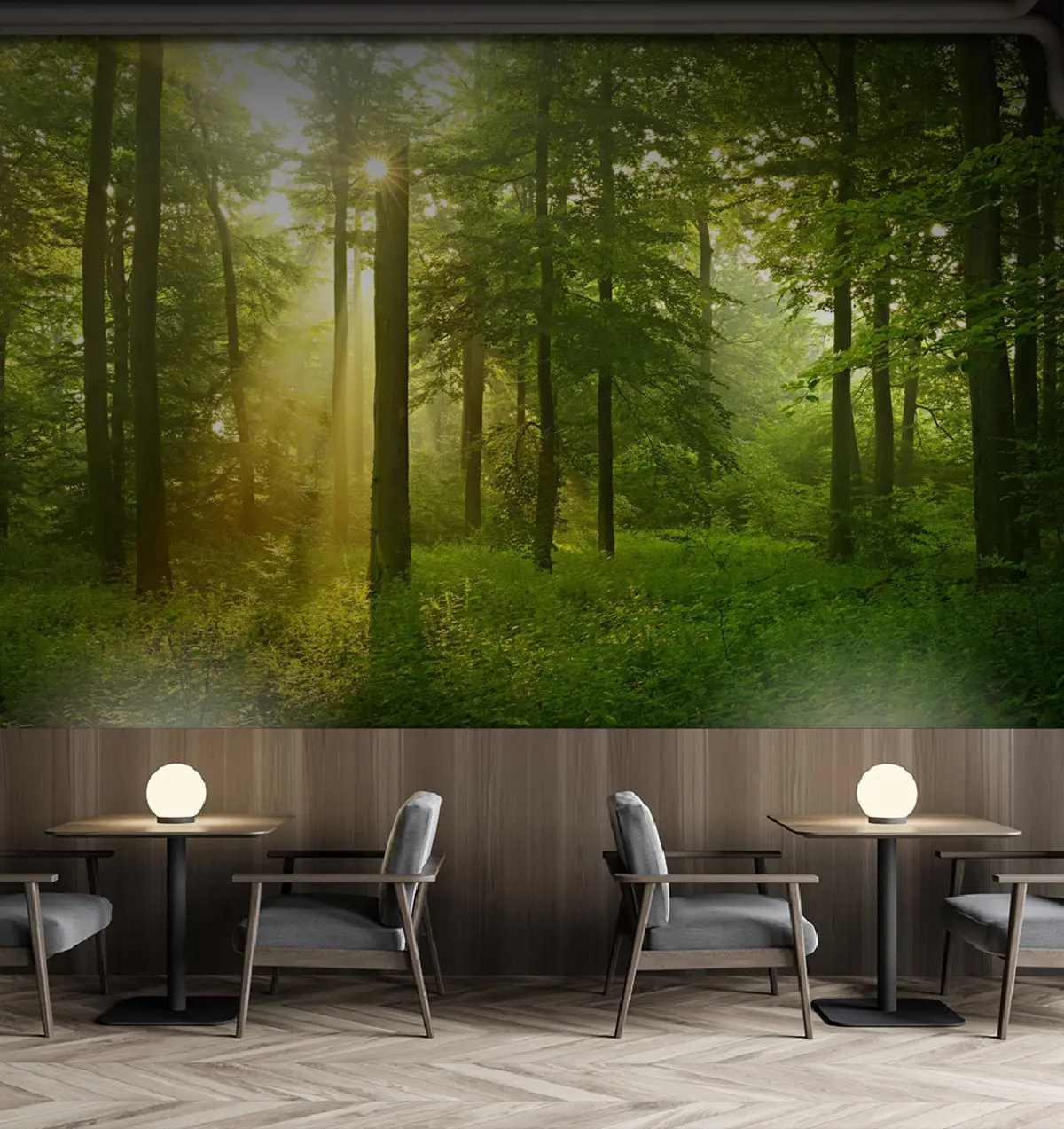 Valokuvatapetti Hiljaisuus aurinkoisessa metsässä u57295