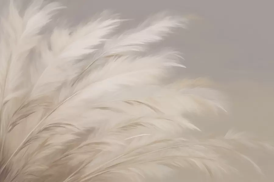 Valokuvatapetti Pehmeät pörröiset ruohot beigen ja harmaan sävyisinä w03992