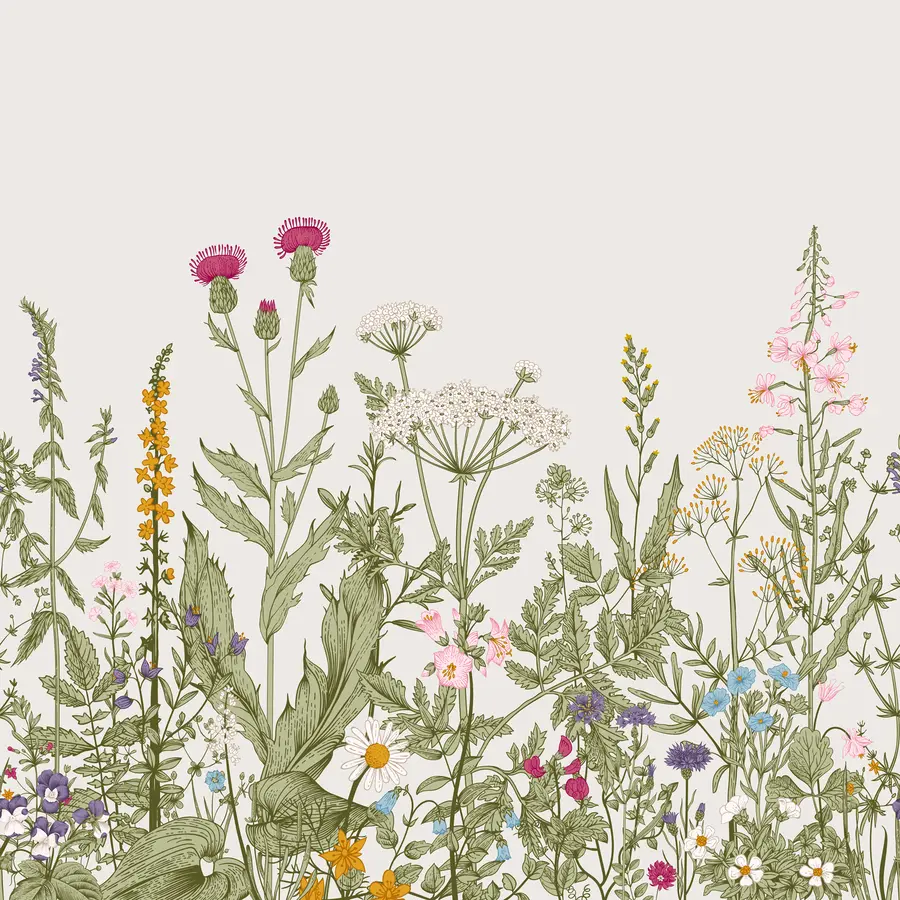 Valokuvatapetti Boho tyylisiä kasveja u71743