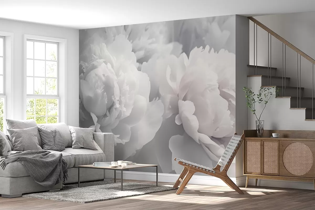 Valokuvatapetti Pionit w04336