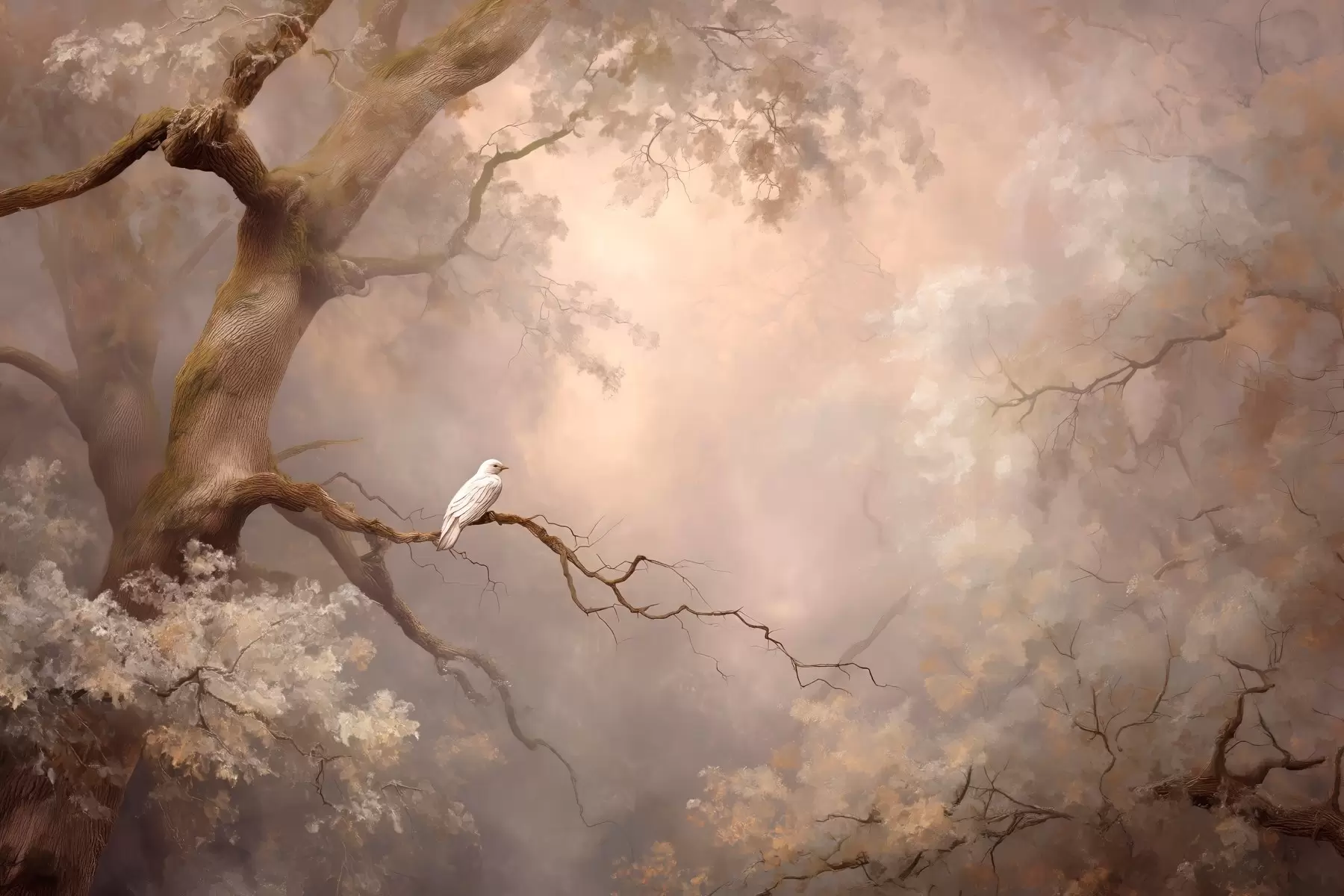 Valokuvatapetti mystinen metsä ja valkoinen lintu w04314