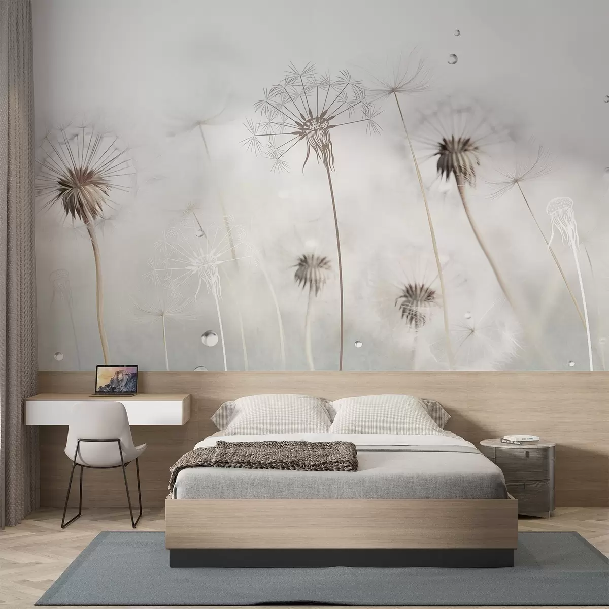 Valokuvatapetti Vesipisaroita sisältävät voikukat, valkoinen tausta, lähikuva, pehmeä valo, luonto, kasvitieteellinen, eteerinen, herkkä, minimalistinen w09399