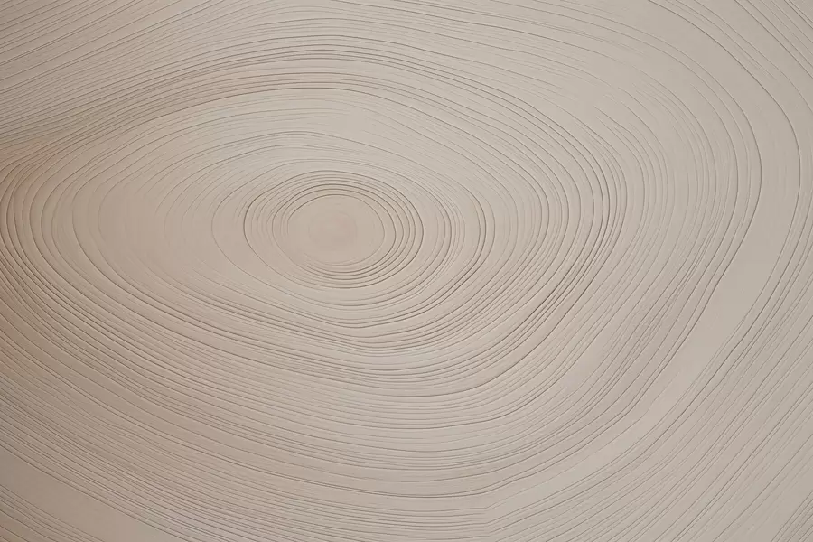 Valokuvatapetti Puun rakenne w04643