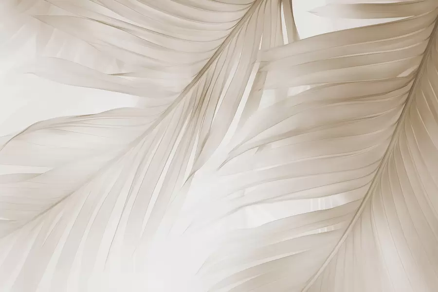 Valokuvatapetti Saniaisen lehdet w04727