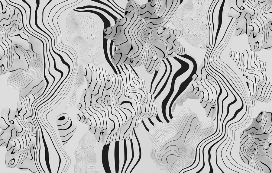 Valokuvatapetti abstraktit orgaaniset muodot 3D-tyylillä valkoisissa ja harmaissa sävyissä mustilla raidoilla w04627