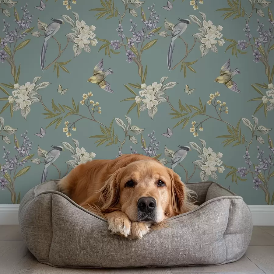 Valokuvatapetti Linnut, kukat ja perhoset sinisenharmaalla taustalla a00735