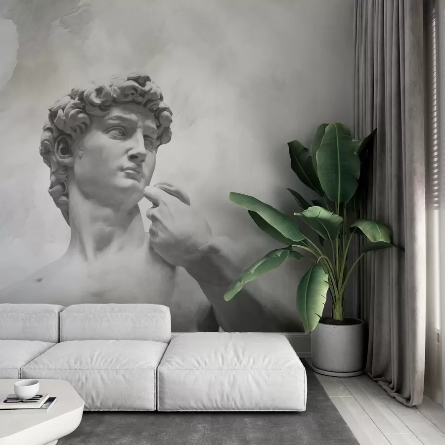 Valokuvatapetti Renessanssin henki w04767