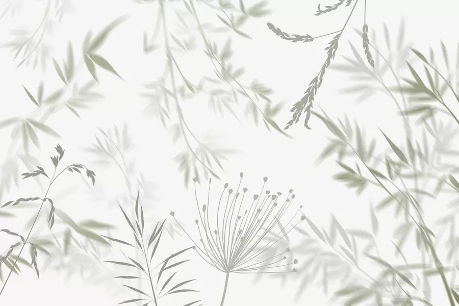 Valokuvatapetti Lehtien siluetit w04850