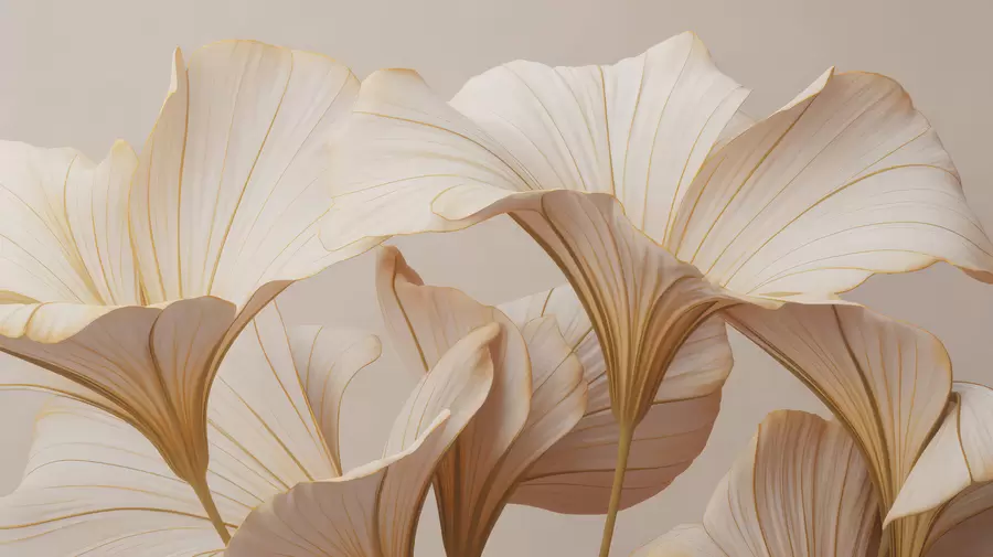 Valokuvatapetti Suuret silmut w04947