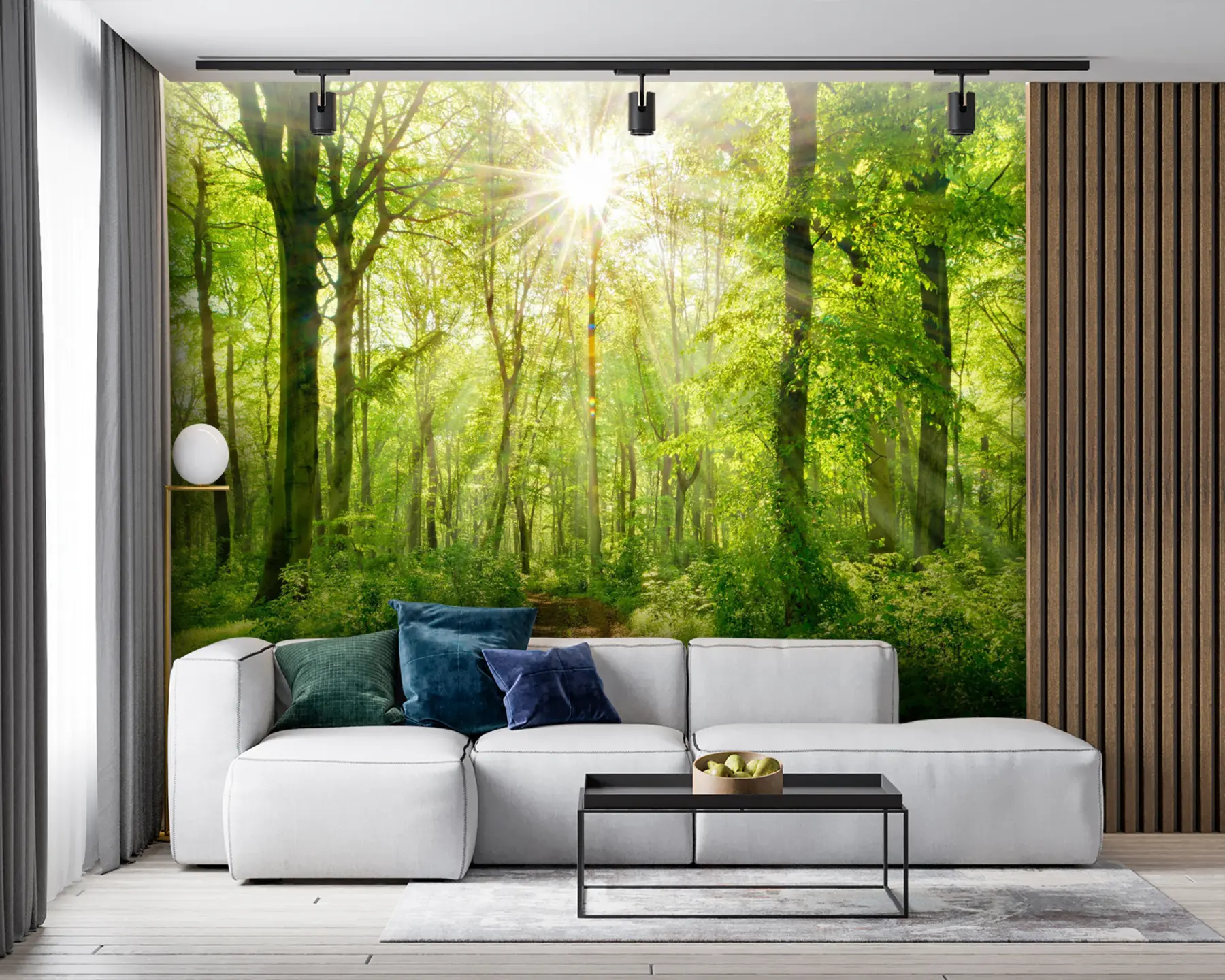 Valokuvatapetti Polku aurinkoisessa metsässä u22252