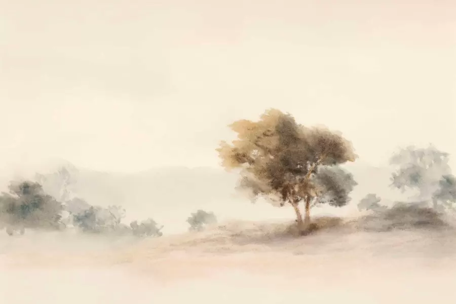 Valokuvatapetti Minimalistinen maisema, jossa on yksinäinen puu sumussa w05223