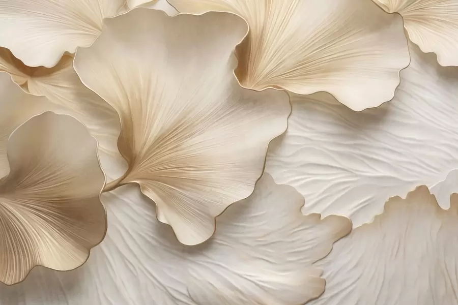 Valokuvatapetti Teksturoidut, beige- ja valkoiset ginkgo-lehdet, joissa on herkkä orgaaninen painatus w09741
