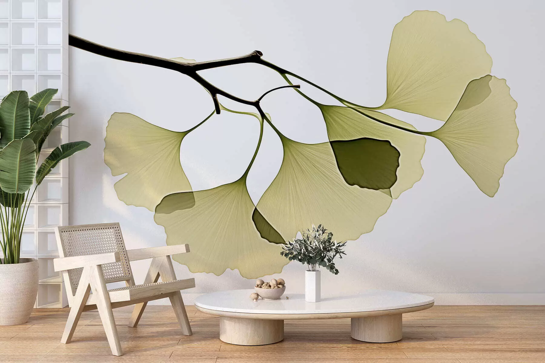 Valokuvatapetti Ginkgo-puun tuulettimelehdet w09968