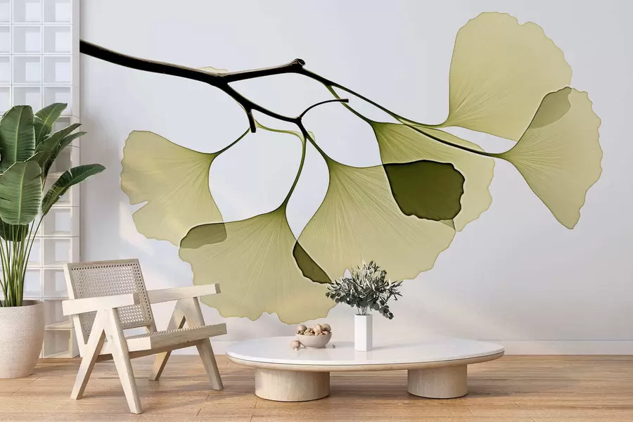 Valokuvatapetti Ginkgo-puun tuulettimelehdet w09968