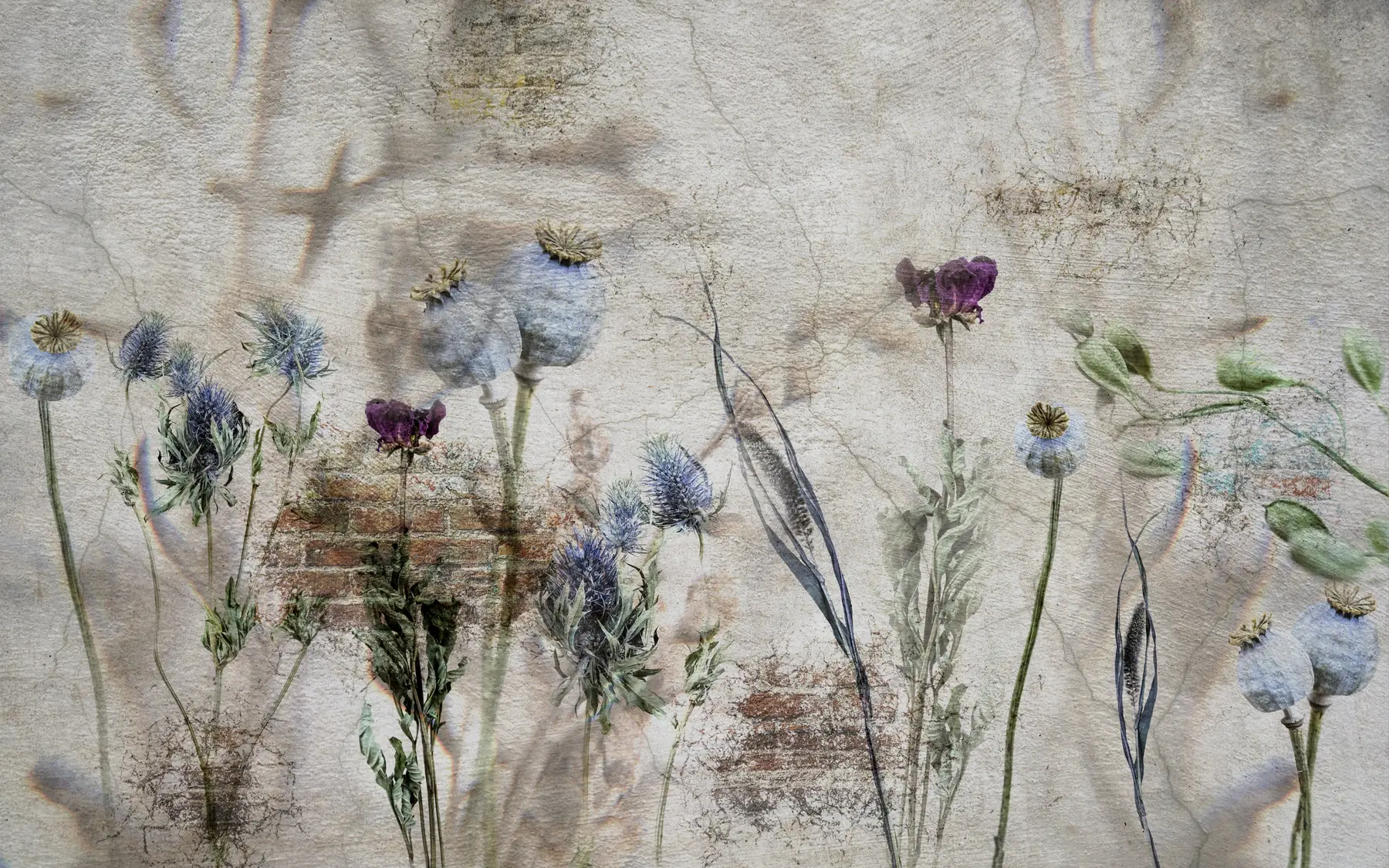 Valokuvatapetti Kukkia ja yrttejä u72771