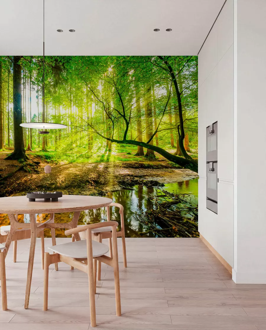 Valokuvatapetti Metsävirran läpinäkyvyys u93621