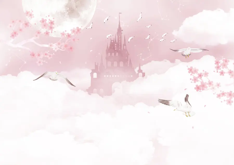 Valokuvatapetti Pilvi, pinkki ja taide u41232