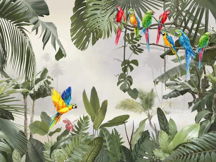 Valokuvatapetti Papukaijat oksilla trooppisessa metsässä u94072