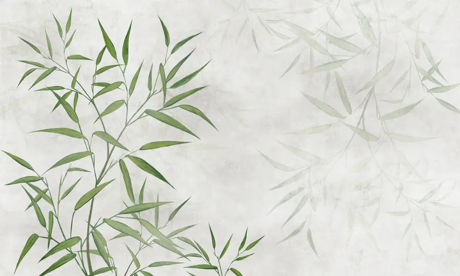 Valokuvatapetti Bambu ruoko lehtiä u95921