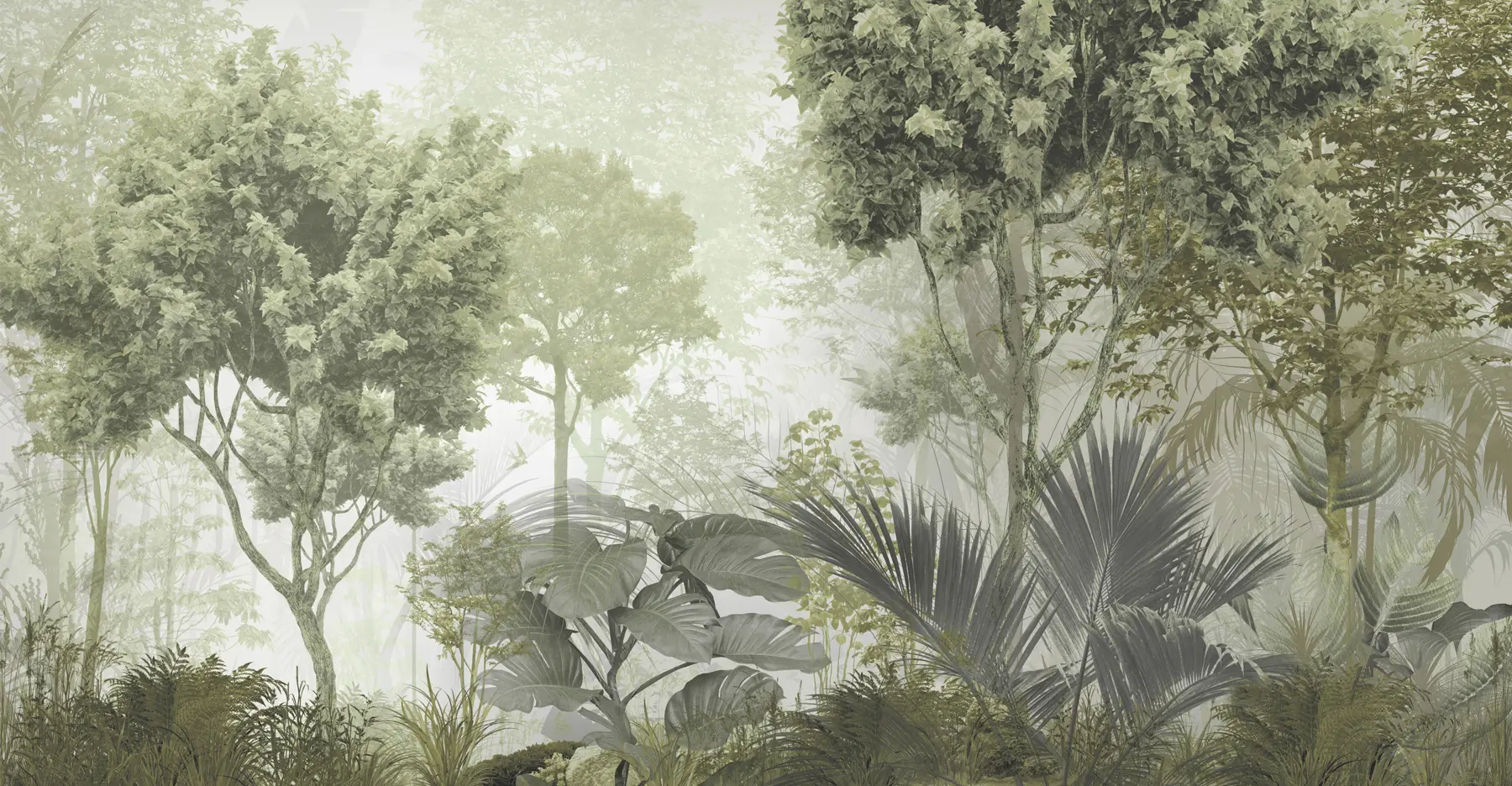 Valokuvatapetti Aamu metsän syvyyksissä u97409