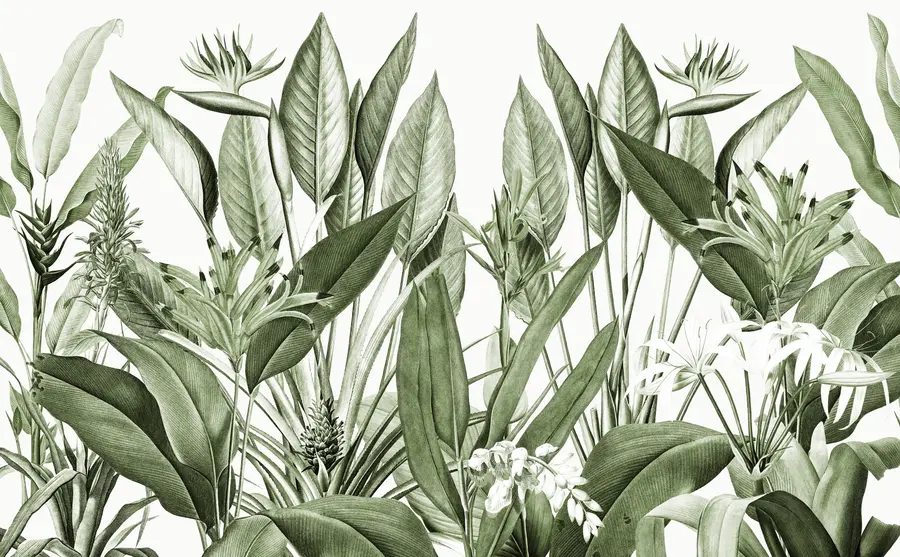 Valokuvatapetti Trooppiset kasvit viidakon vihreä väri u96833v2