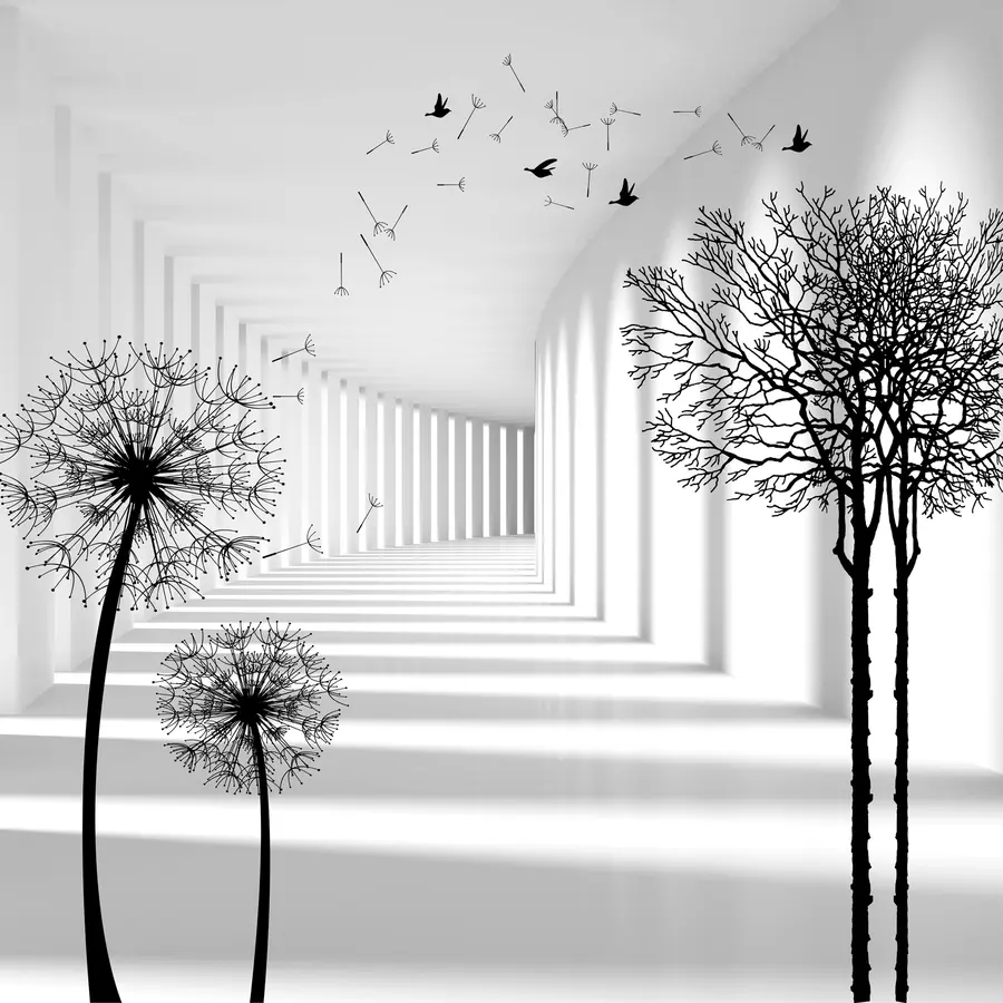 Valokuvatapetti Syvyys ja valo u37803d1