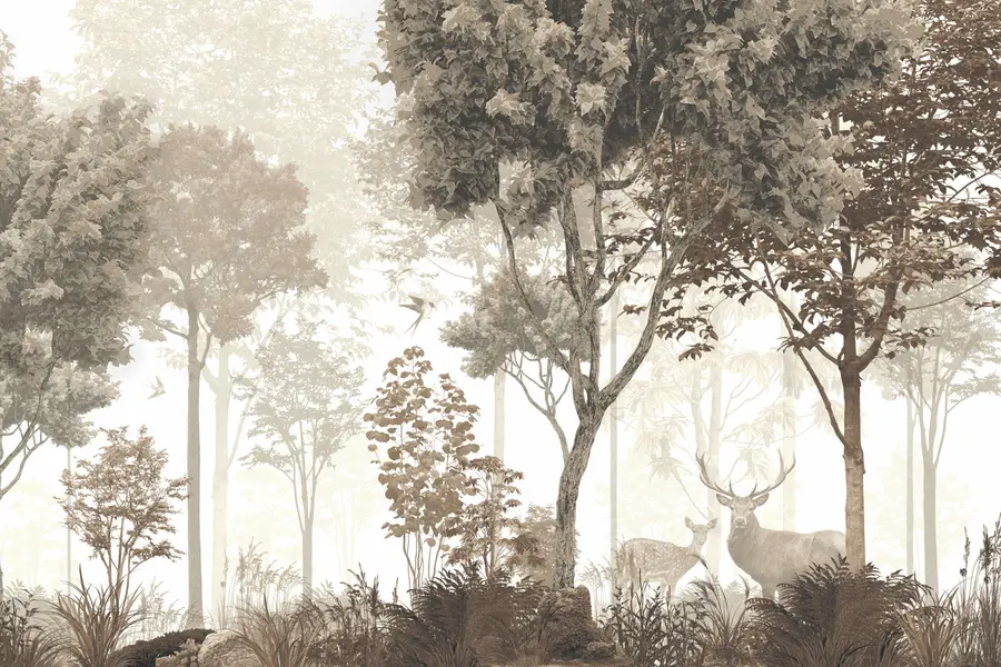 Valokuvatapetti Maaginen metsä u72134d3